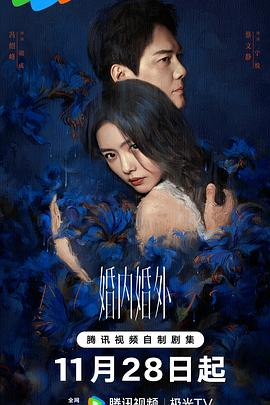 婚內(nèi)婚外 第09集