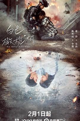 白色橄欖樹 第12集