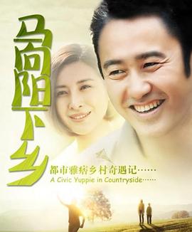 馬向陽下鄉(xiāng)記 第28集