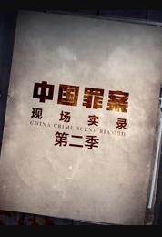 罪案現(xiàn)場實錄第二季(全集)
