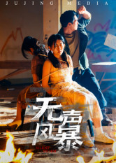 無(wú)聲風(fēng)暴(全集)