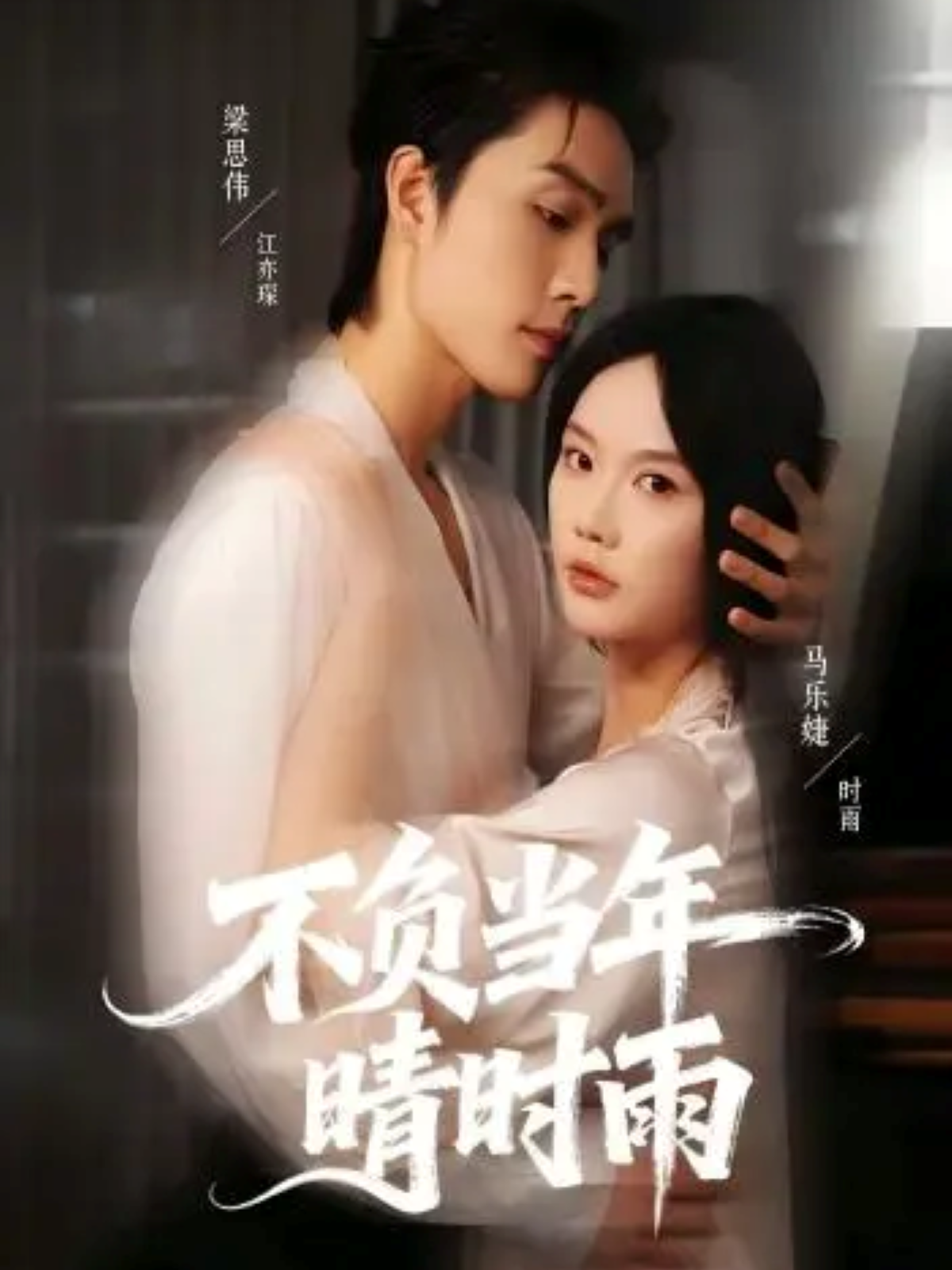 不負(fù)當(dāng)年晴時(shí)雨(全集)